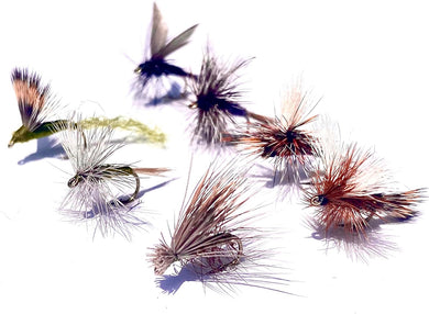 14 Dry Fly Hatch Pack