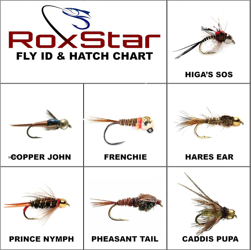 Nymph Fly Hatch Pack 14 Premium Nymph Flies for Trout – RoxStar