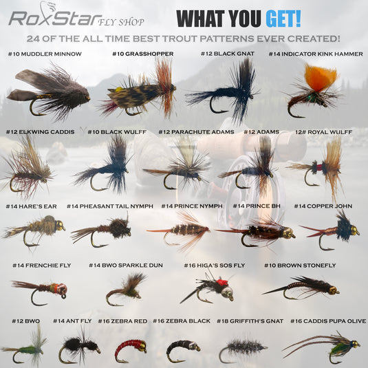 Trophy Trout 24 Pack – RoxStar Fishing