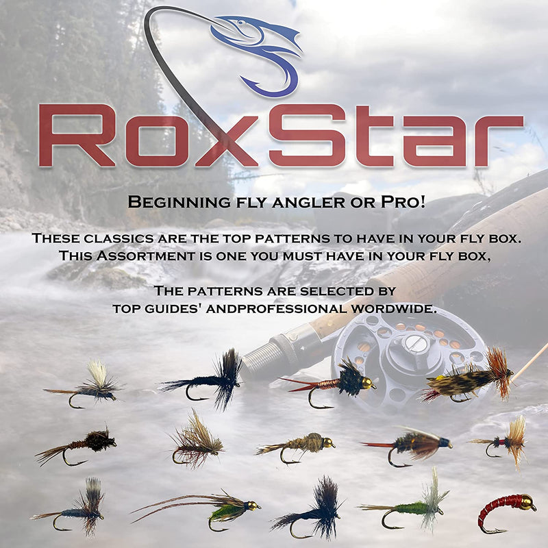 Trophy Trout 24 Pack – RoxStar Fishing