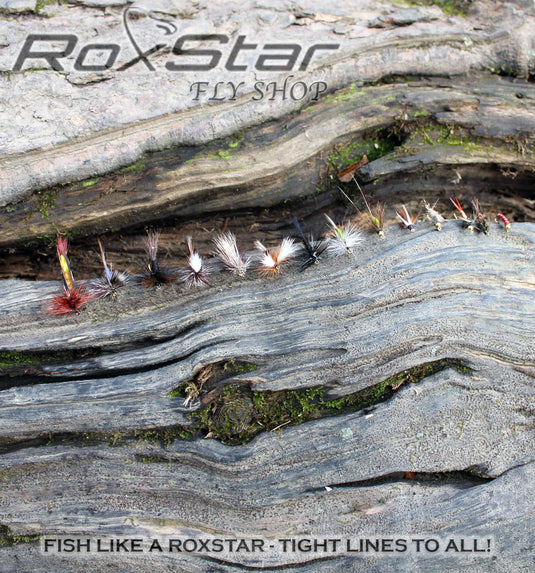 Trophy Trout 24 Pack – RoxStar Fishing