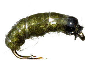 Load image into Gallery viewer, BeadHead Bottom Bouncing Caddis
