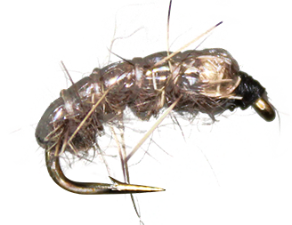 Load image into Gallery viewer, BeadHead Bottom Bouncing Caddis
