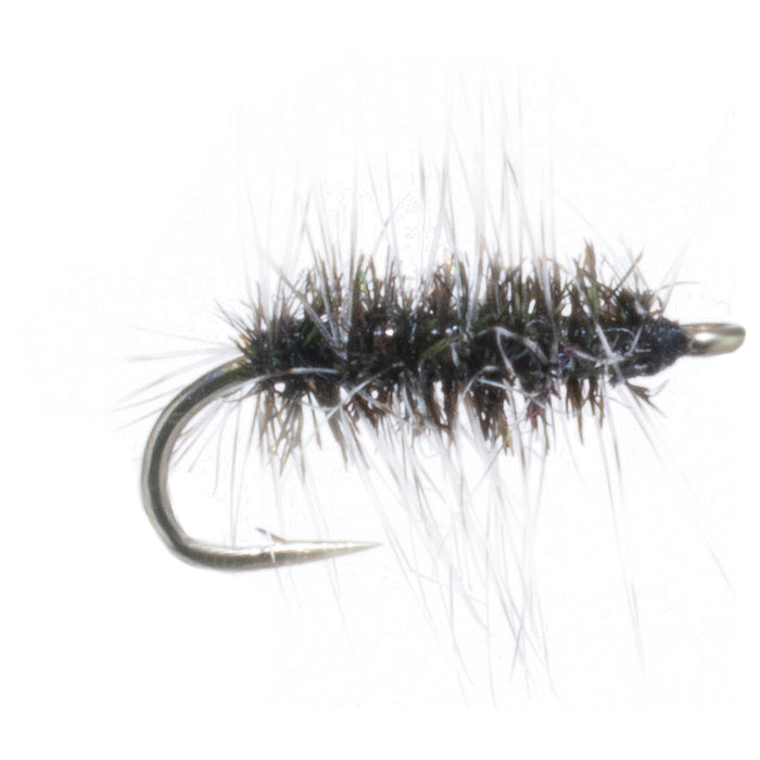 Moucheron de Griffiths