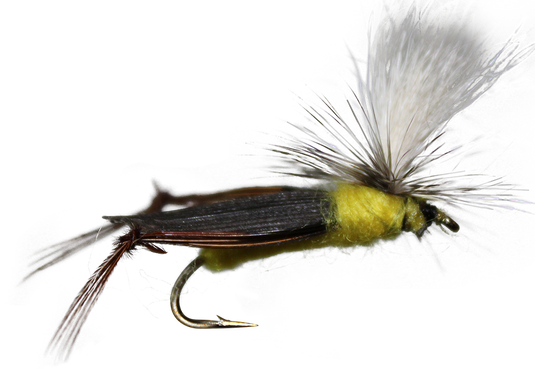 Parachute Grass Hopper