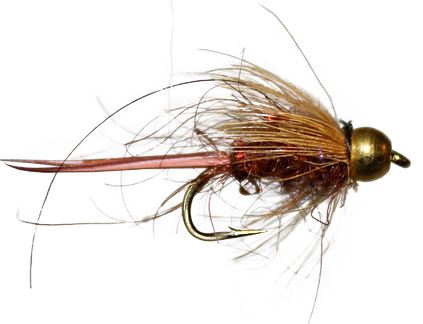 BeadHead Rainbow Prince Nymph
