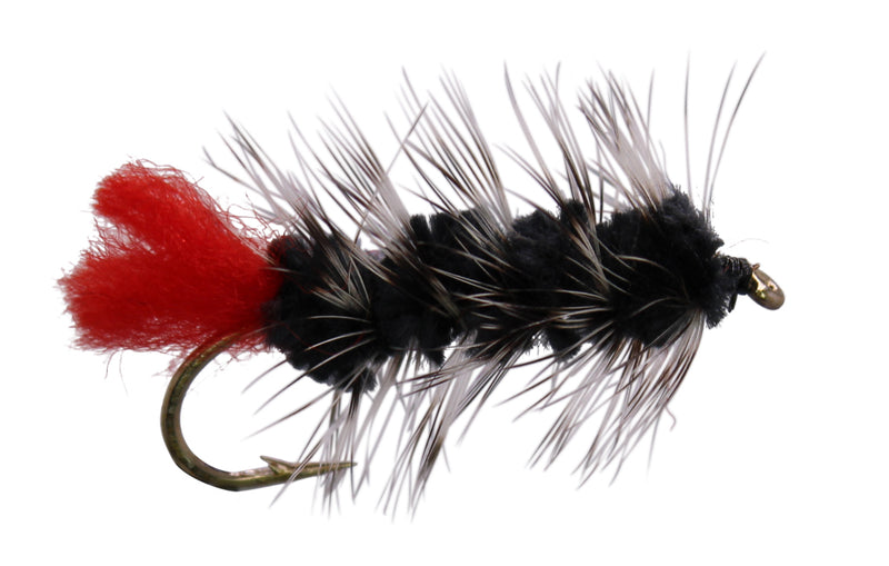 Fly Fishing Wolly Worm Flies - Hand Tied In The USA – RoxStar Fishing